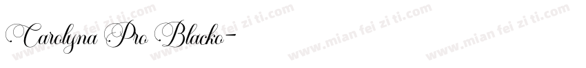 Carolyna Pro Blacko字体转换